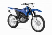2012 Yamaha TT-R230 photo